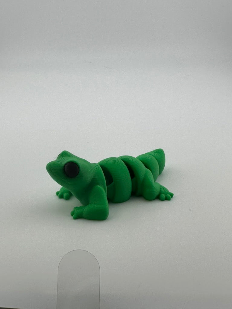 Lizard