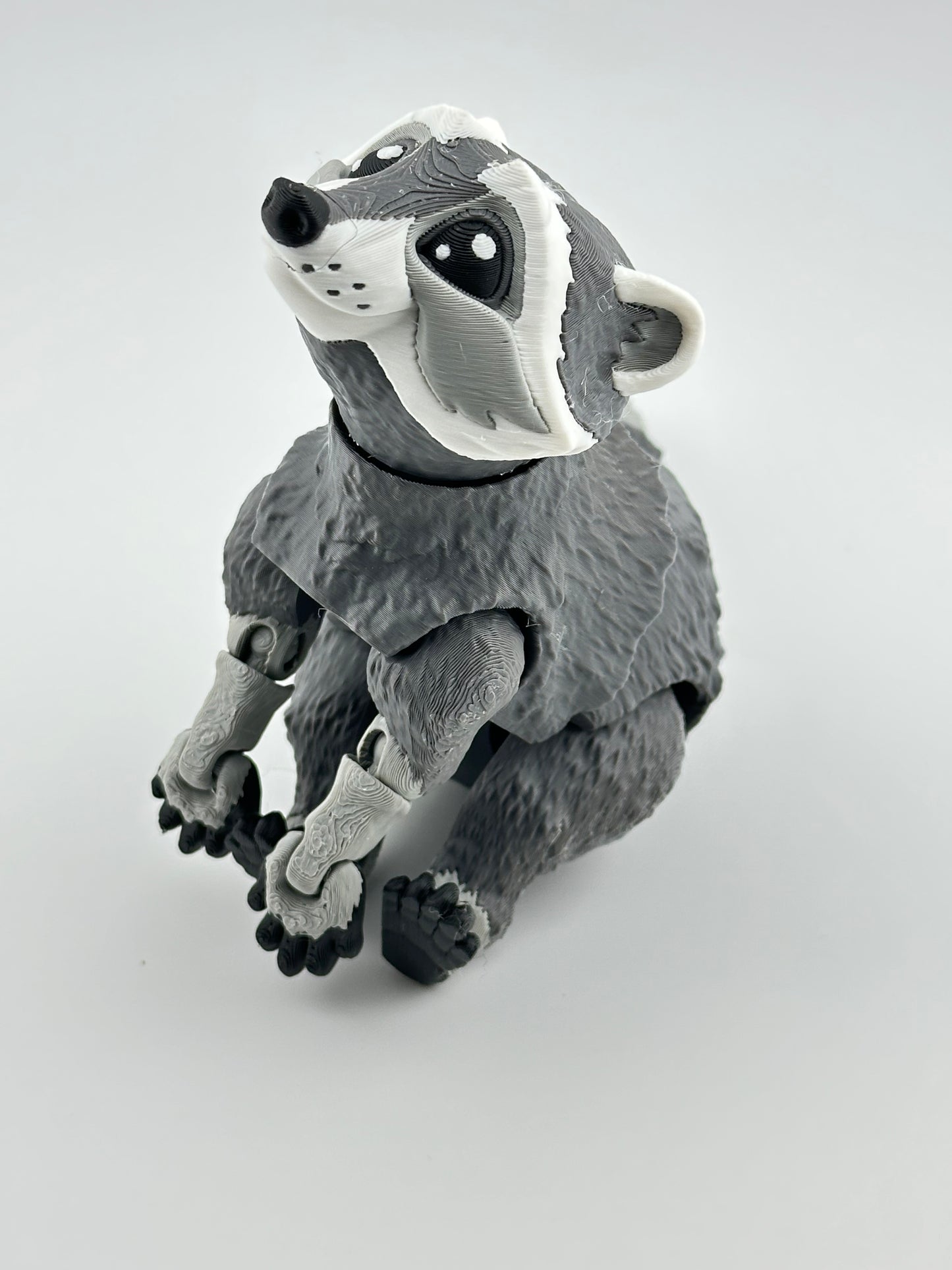 Raccoon