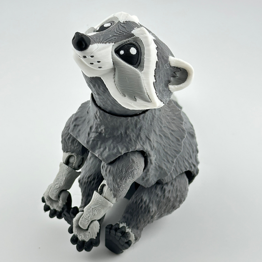 Raccoon