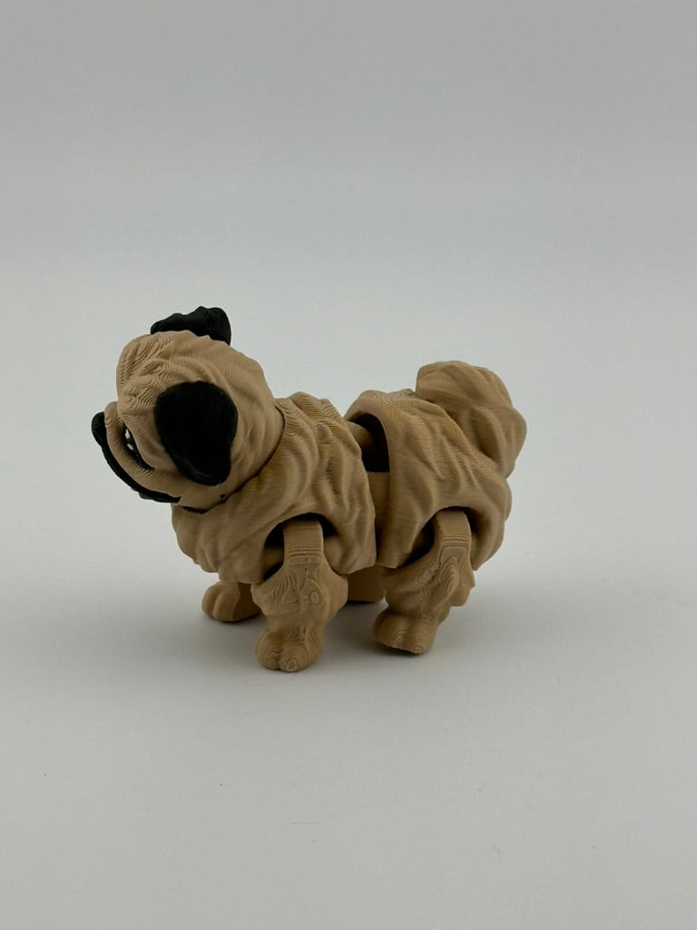 Pekingnese Dog