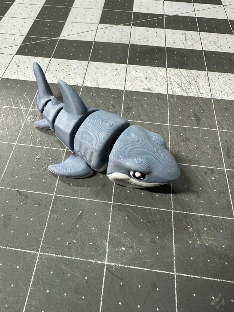 Great White Shark