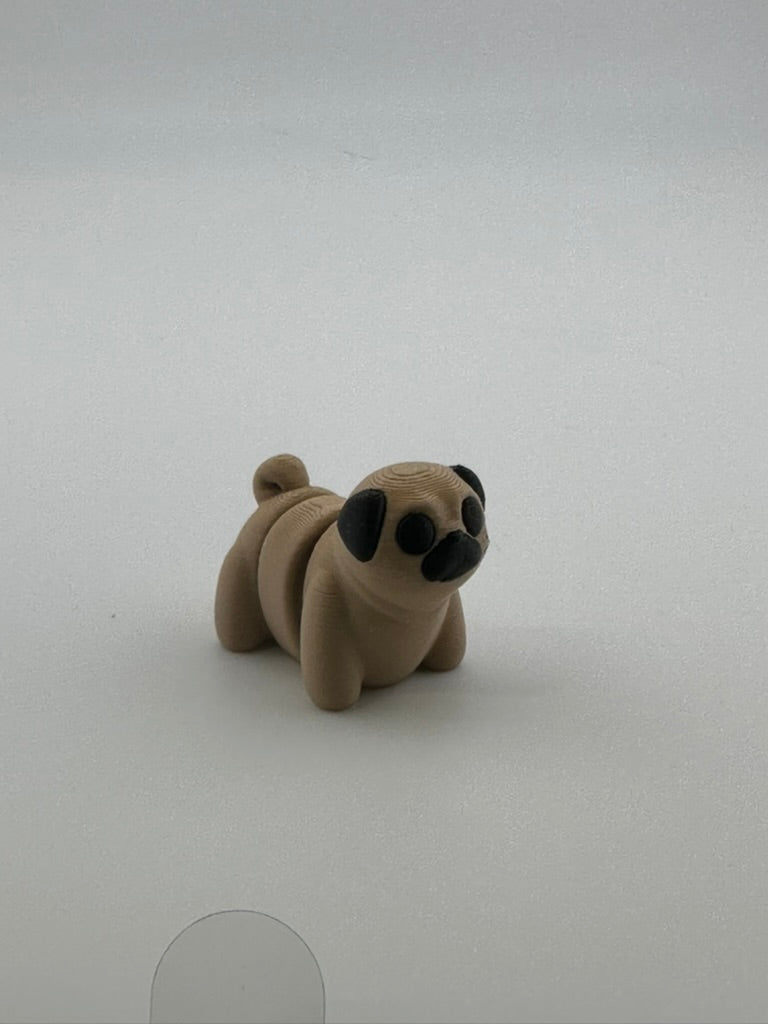 Pug Dog