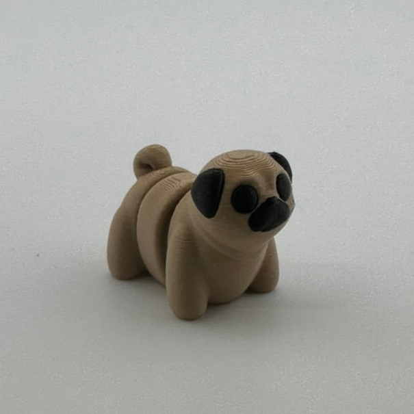 Pug Dog
