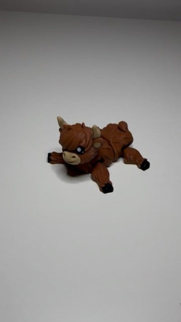 Highland Cow