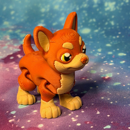 Chihuahua Fawn  [FF-TD-10]