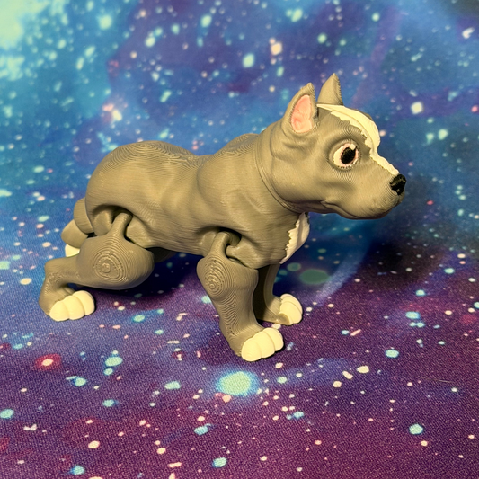 Pit Bull   [FF-TD-39]