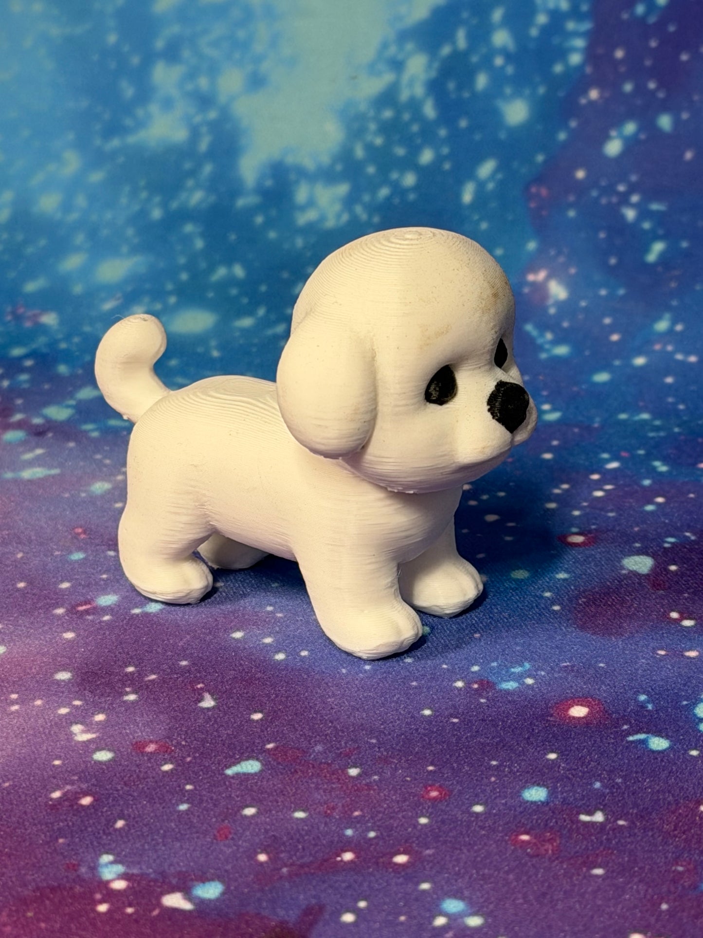 Bichon Frise  [FF-MD-42]
