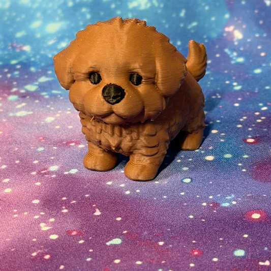 Poodle Puppy  [FF-MD-43]