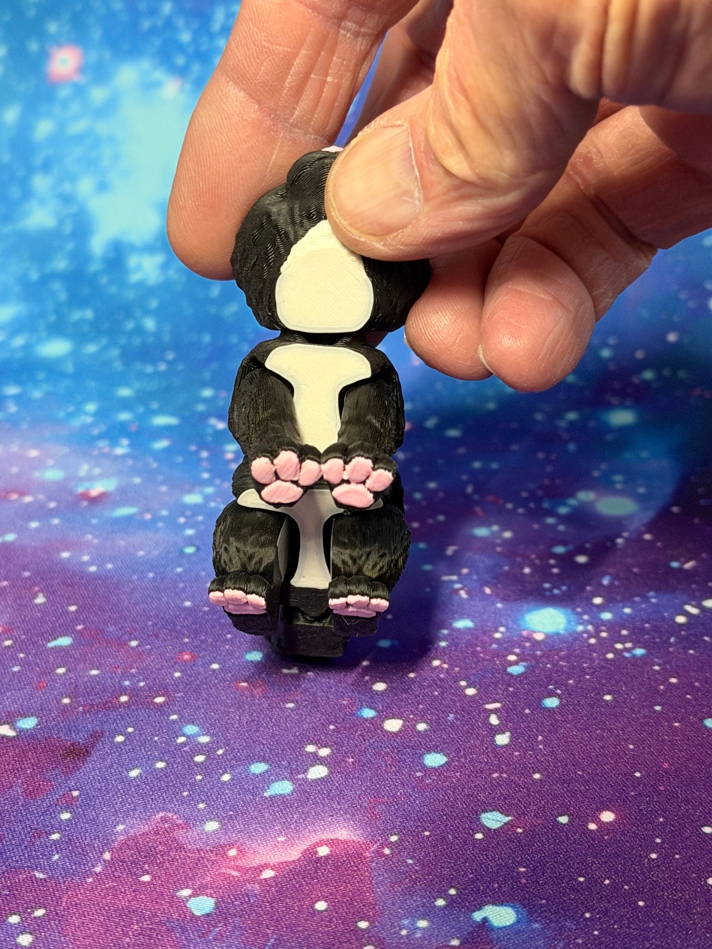 Tuxedo Cat  by Mat Mire Makes