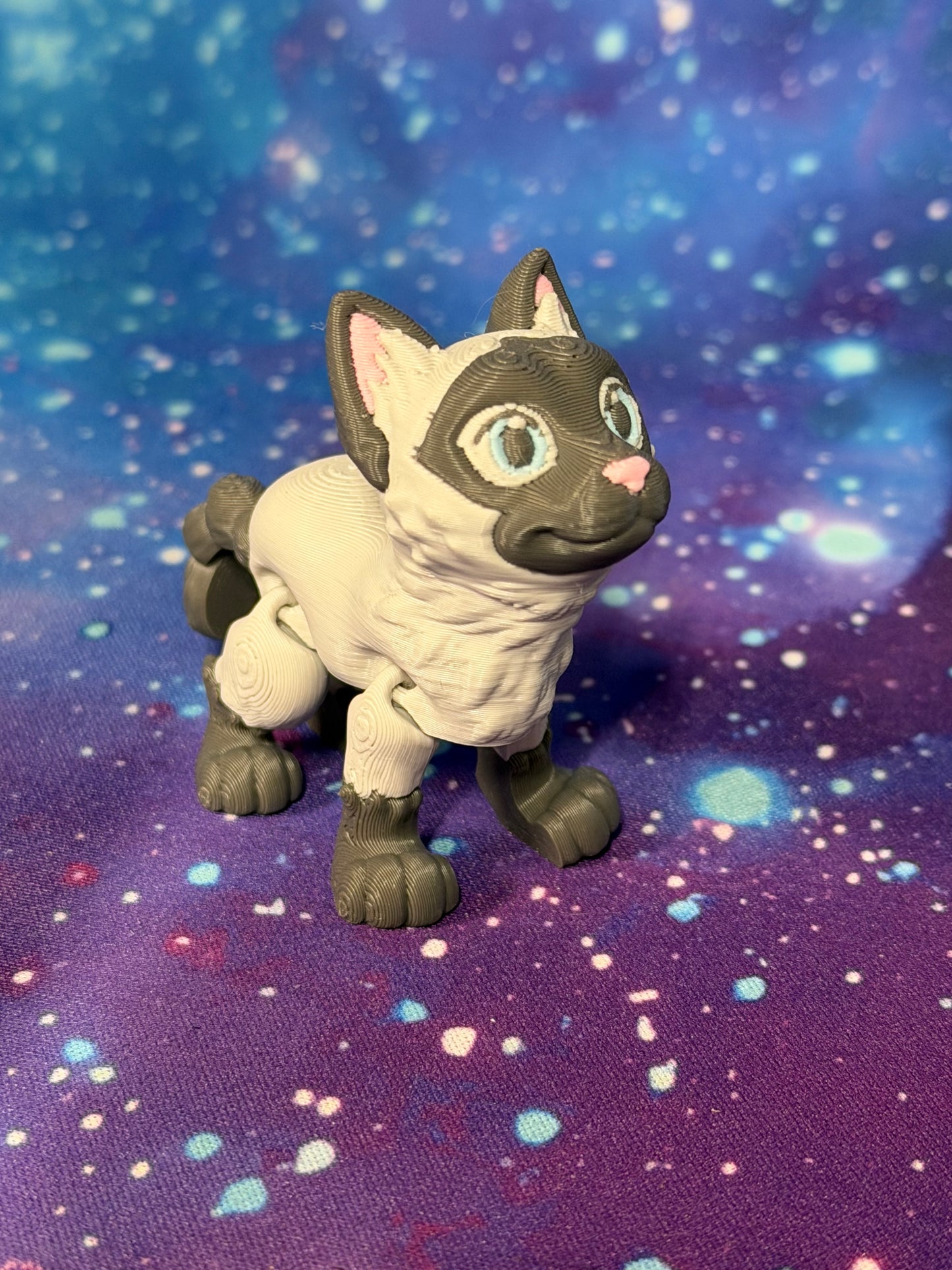 Siamese Cat  by TriDimensionPrints