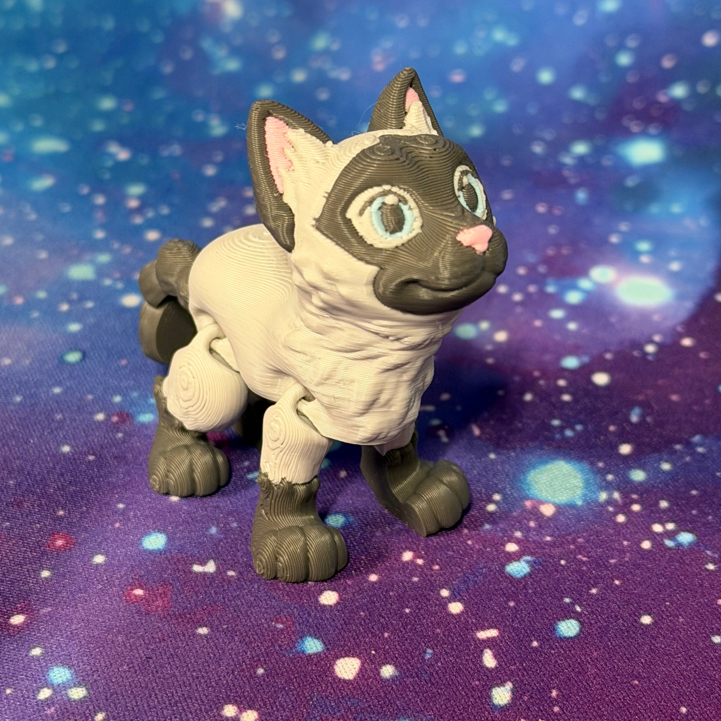 Siamese Cat  by TriDimensionPrints