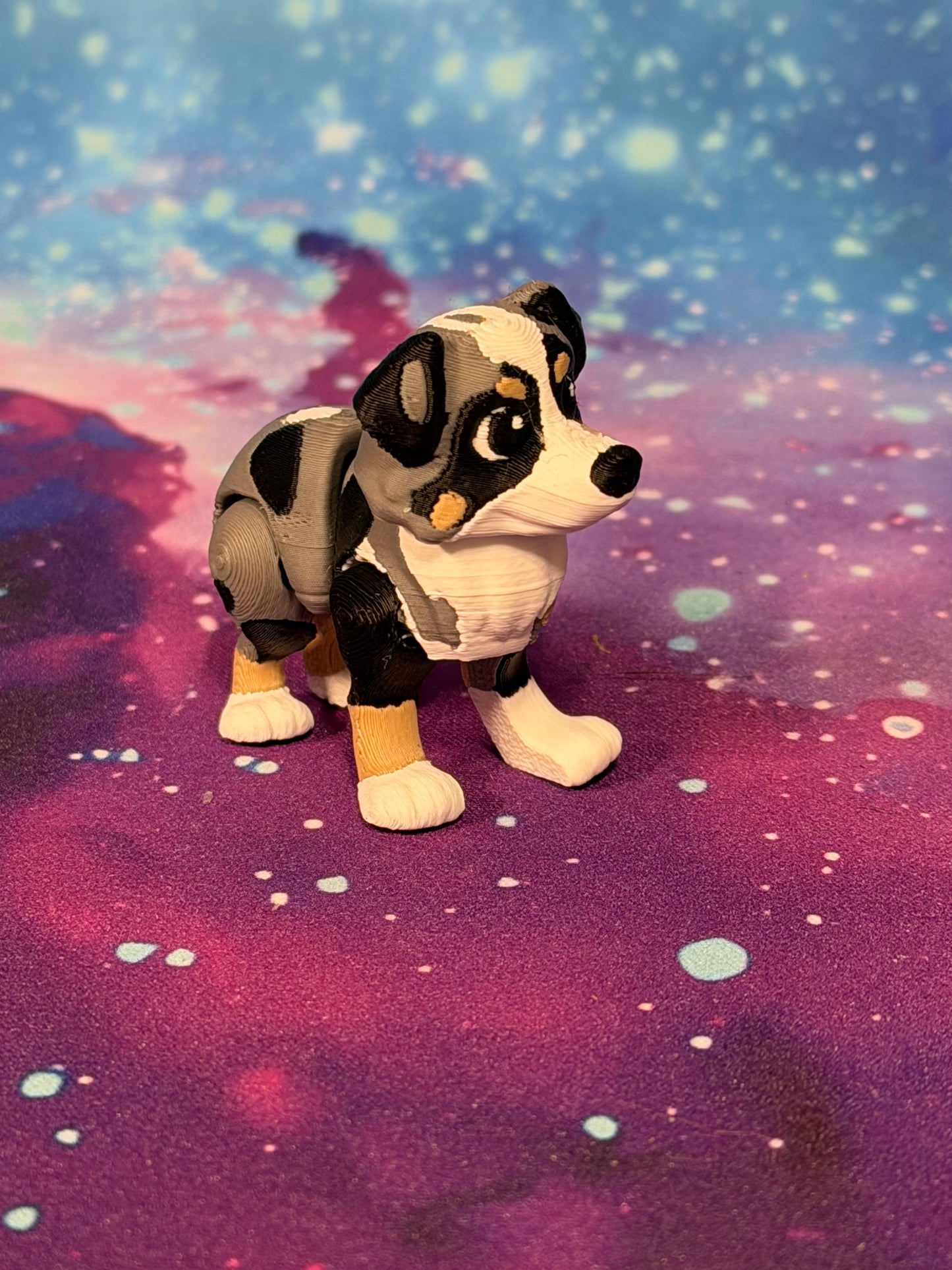 Australian Shepherd  by Ludo