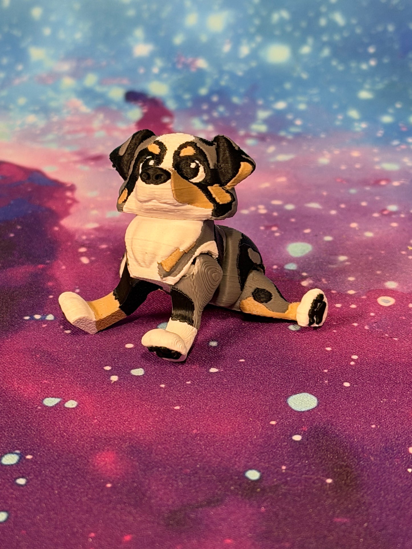 Australian Shepherd  by Ludo