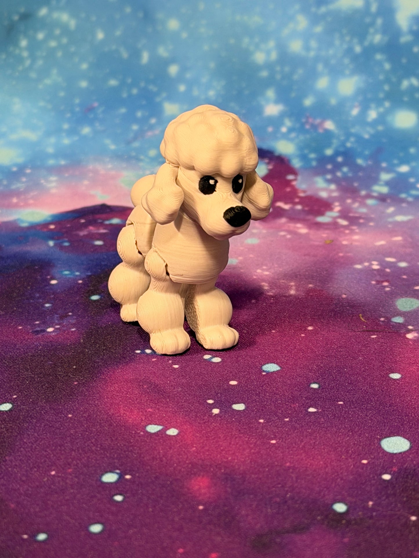 Poodle  by Ludo