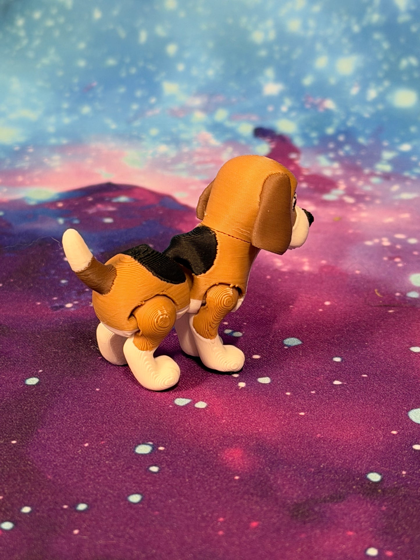 Beagle  by Ludo
