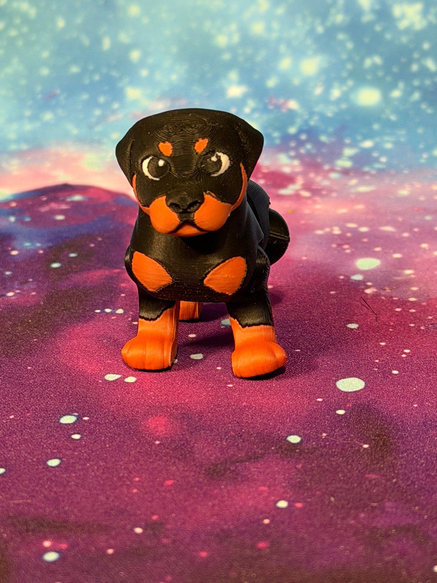 Rottweiler  by Ludo