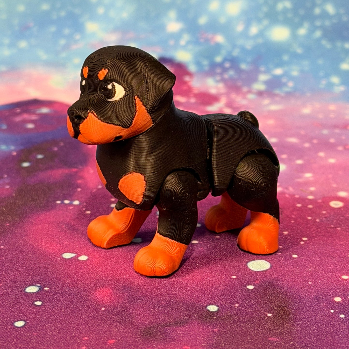 Rottweiler  by Ludo