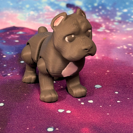 Cane Corso FF-LUD-66