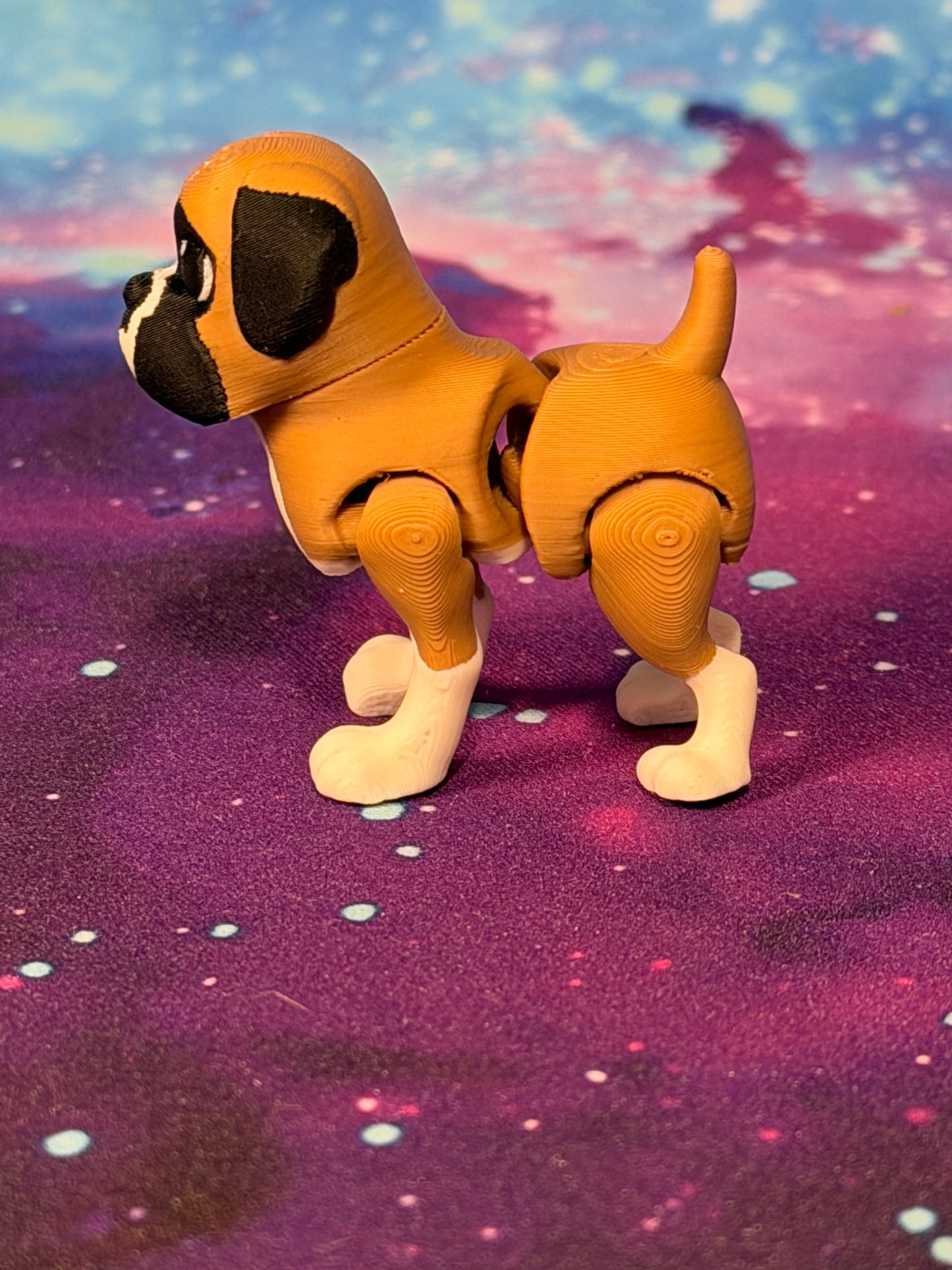 Boxer by Ludo