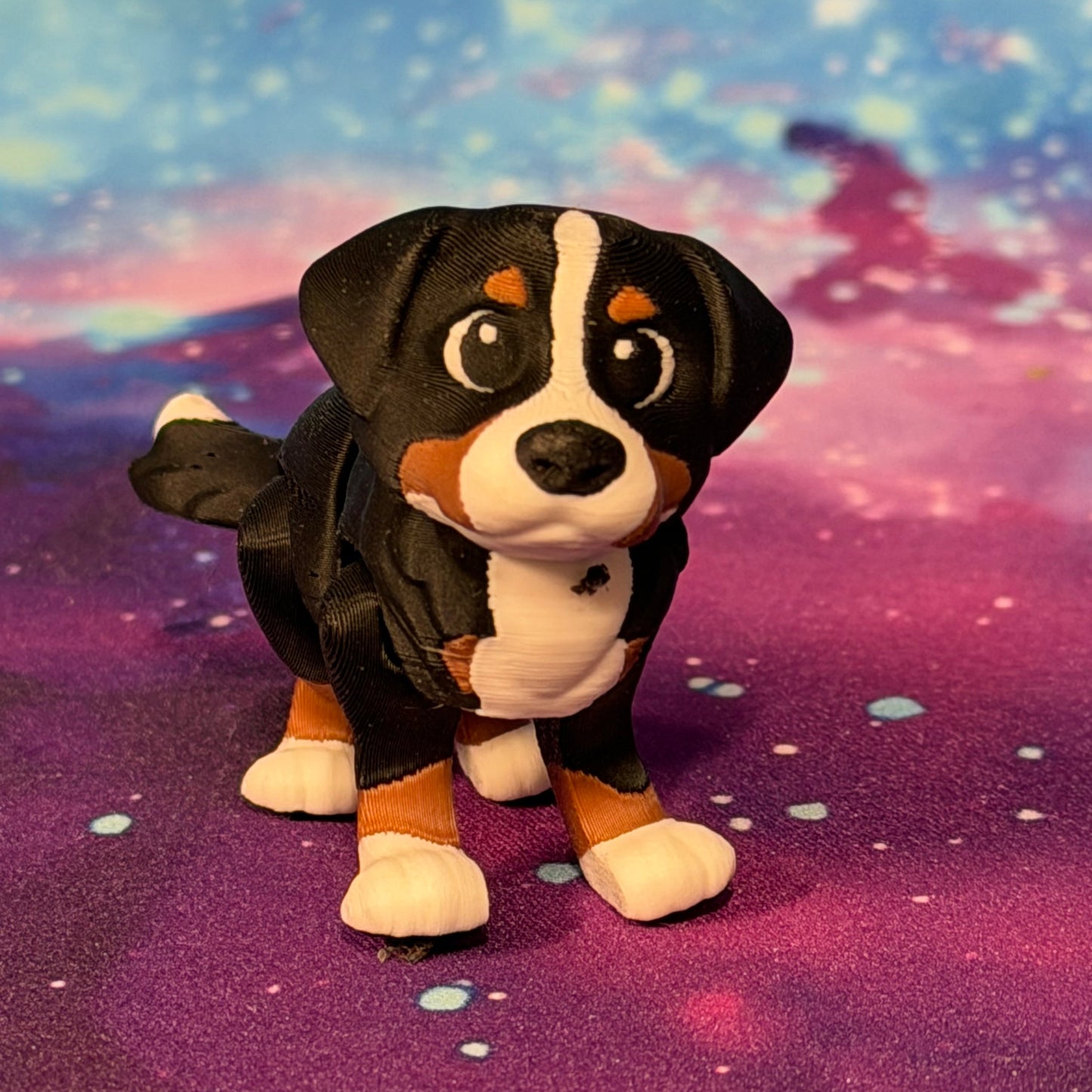 Bernese Mountain Dog  by Ludo