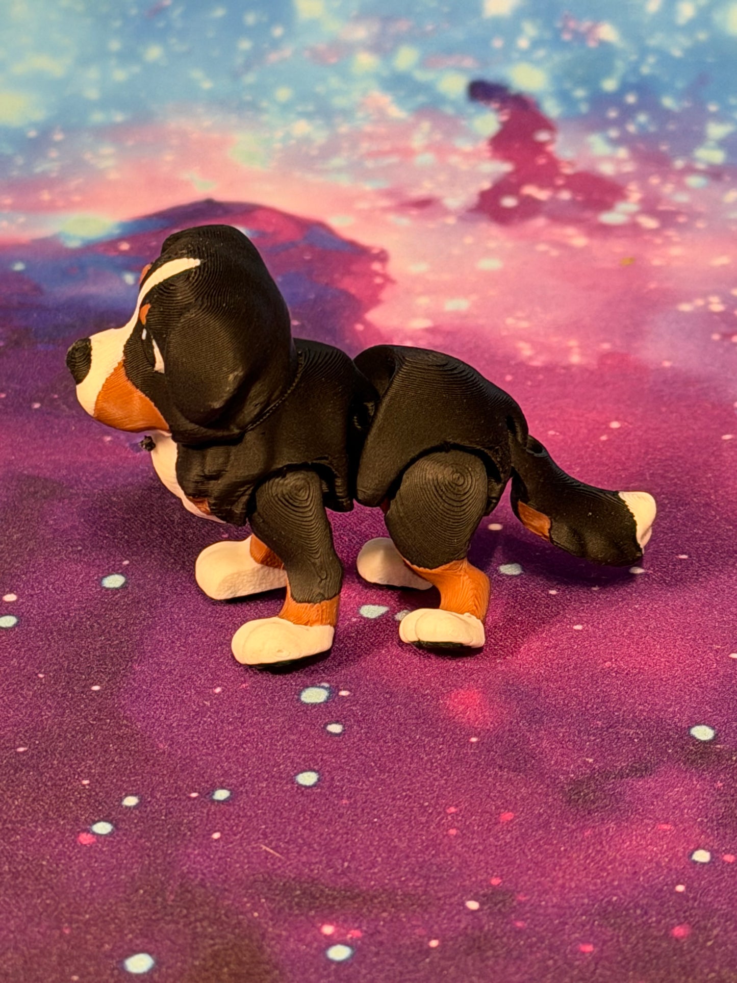 Bernese Mountain Dog  by Ludo