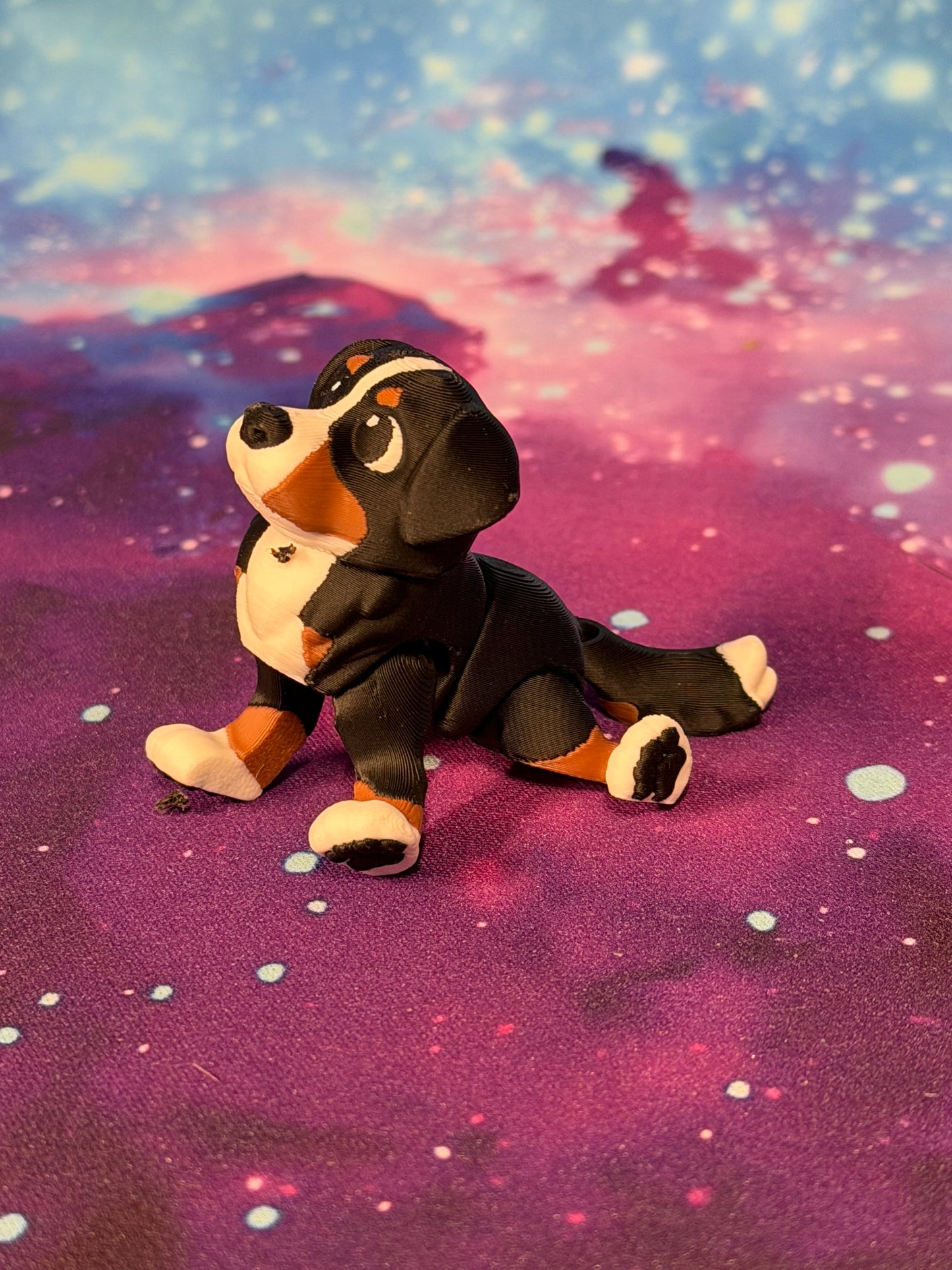 Bernese Mountain Dog  by Ludo