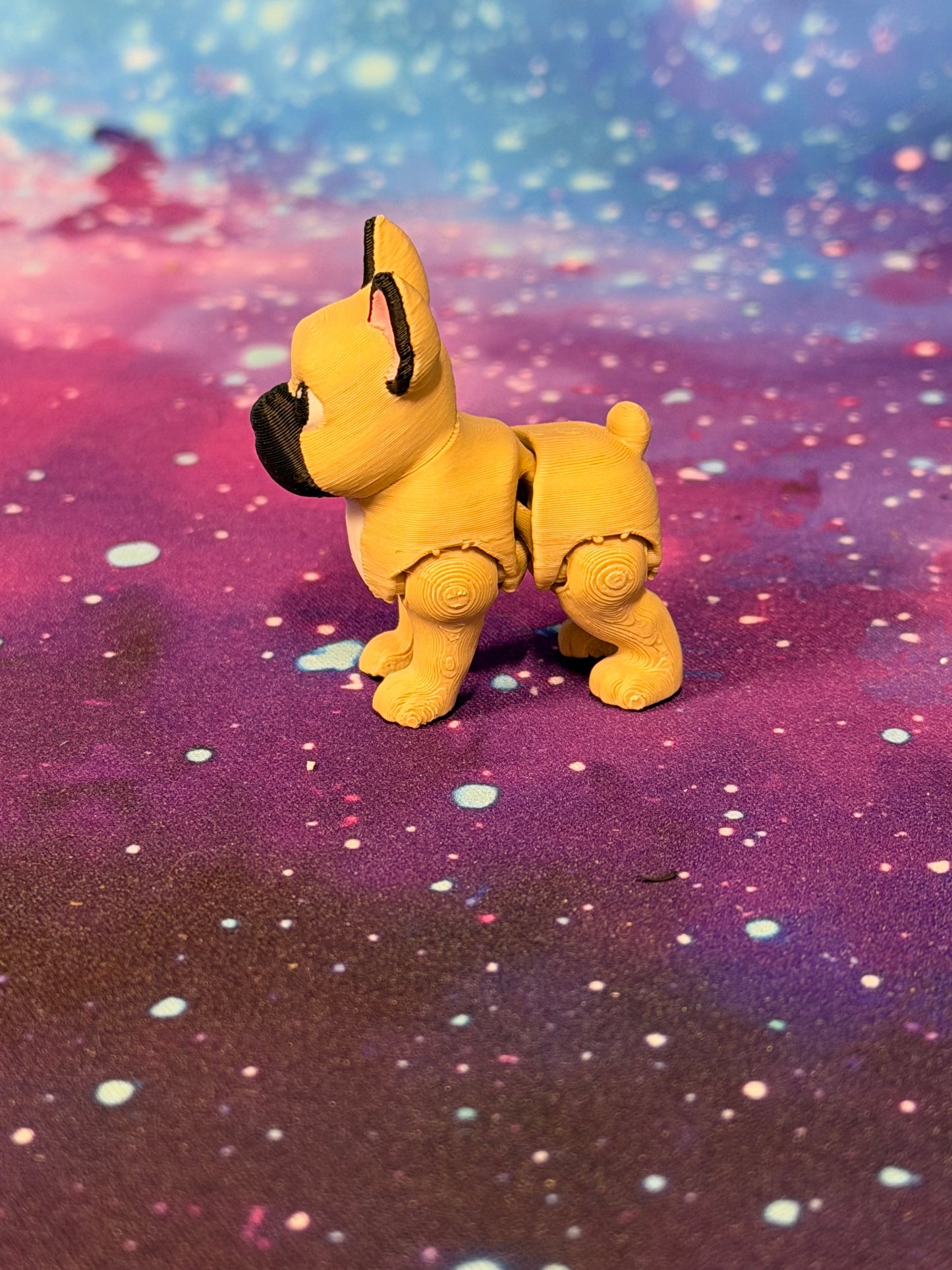 French Bulldog. by Ludo