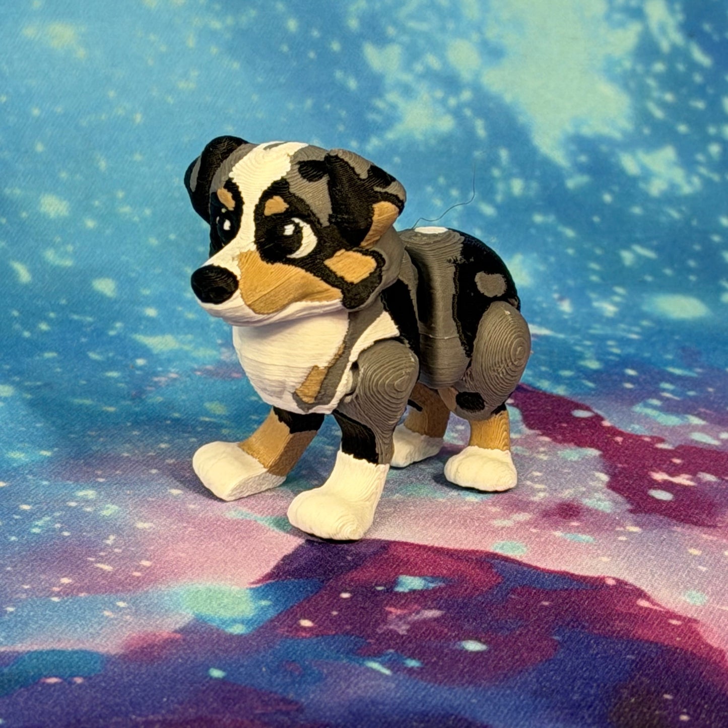 Australian Shepherd  by Ludo