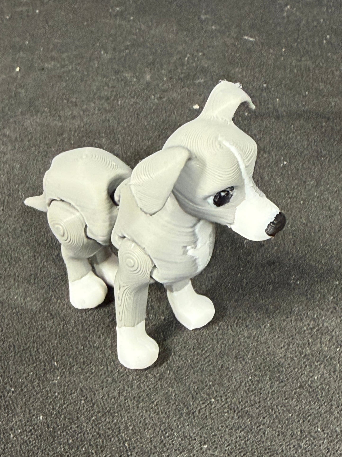 Italian greyhound by LUDO