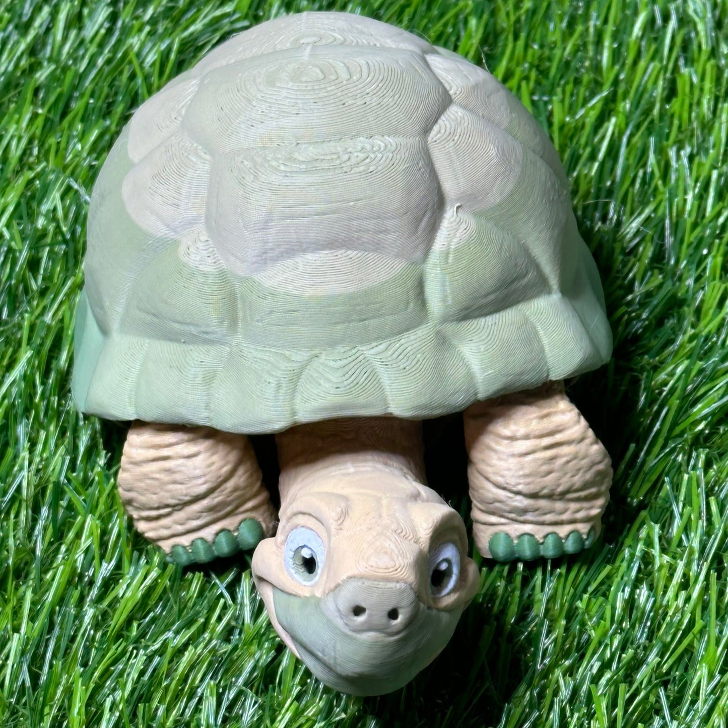 Poseable Tortoise Model