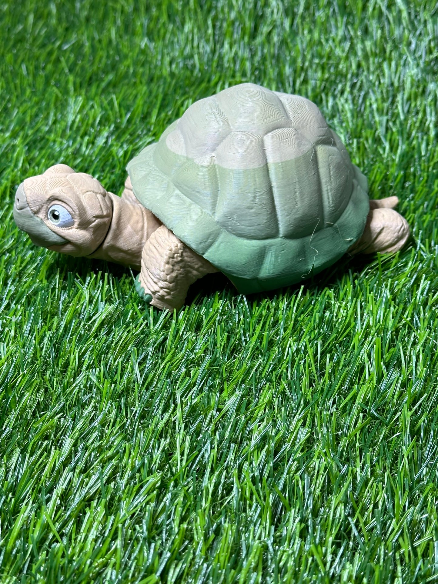 Poseable Tortoise Model