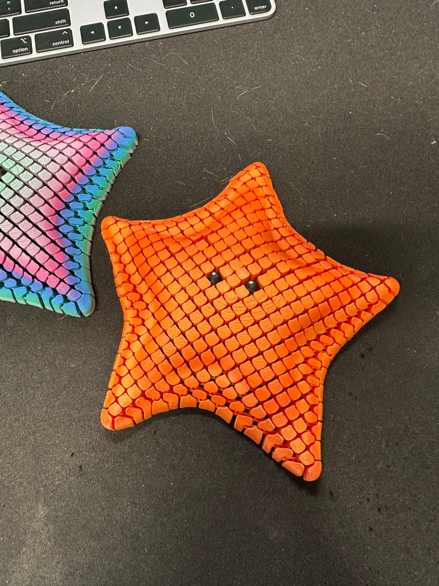 Large Flexi Bat Starfish