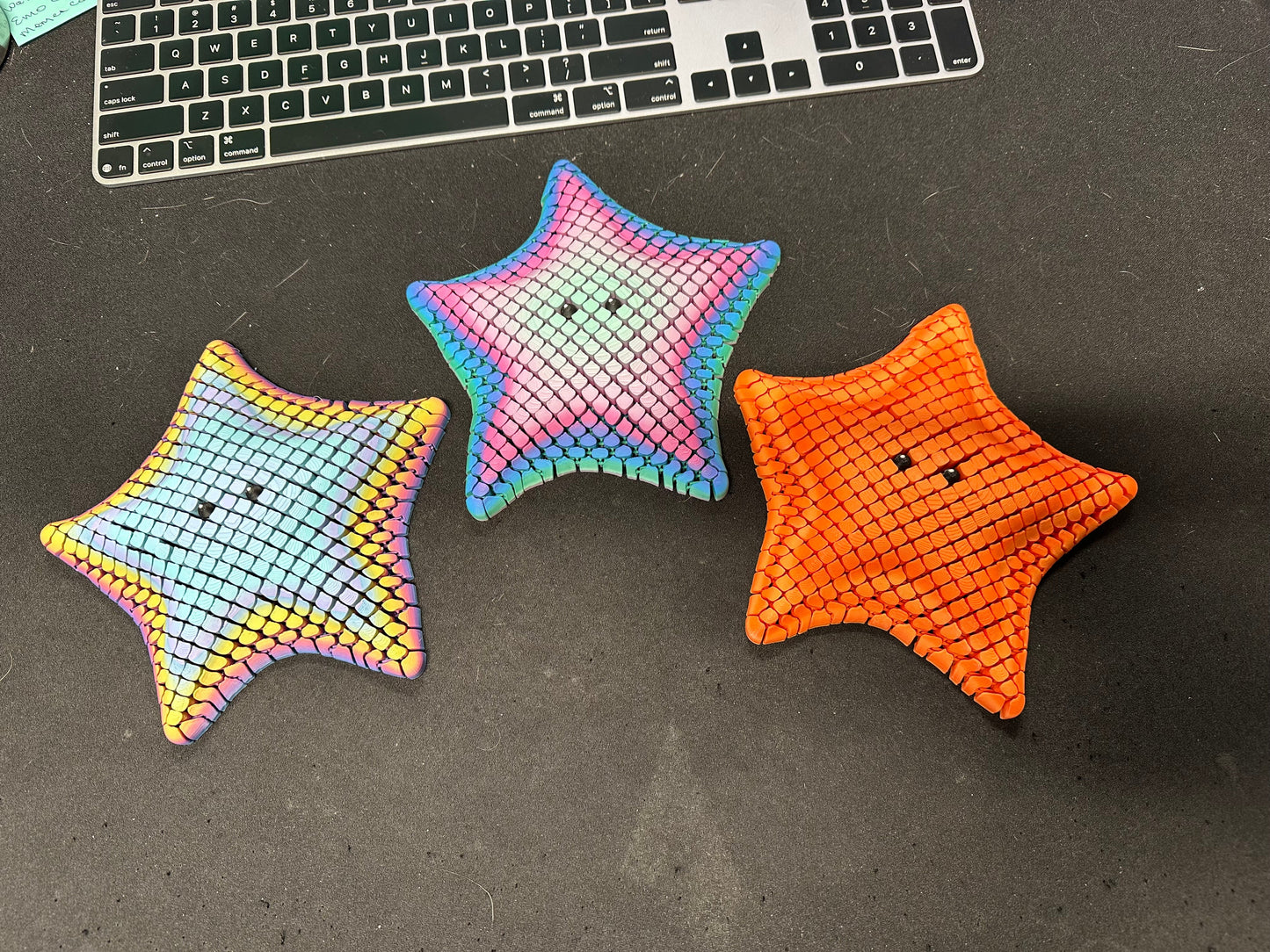 Large Flexi Bat Starfish