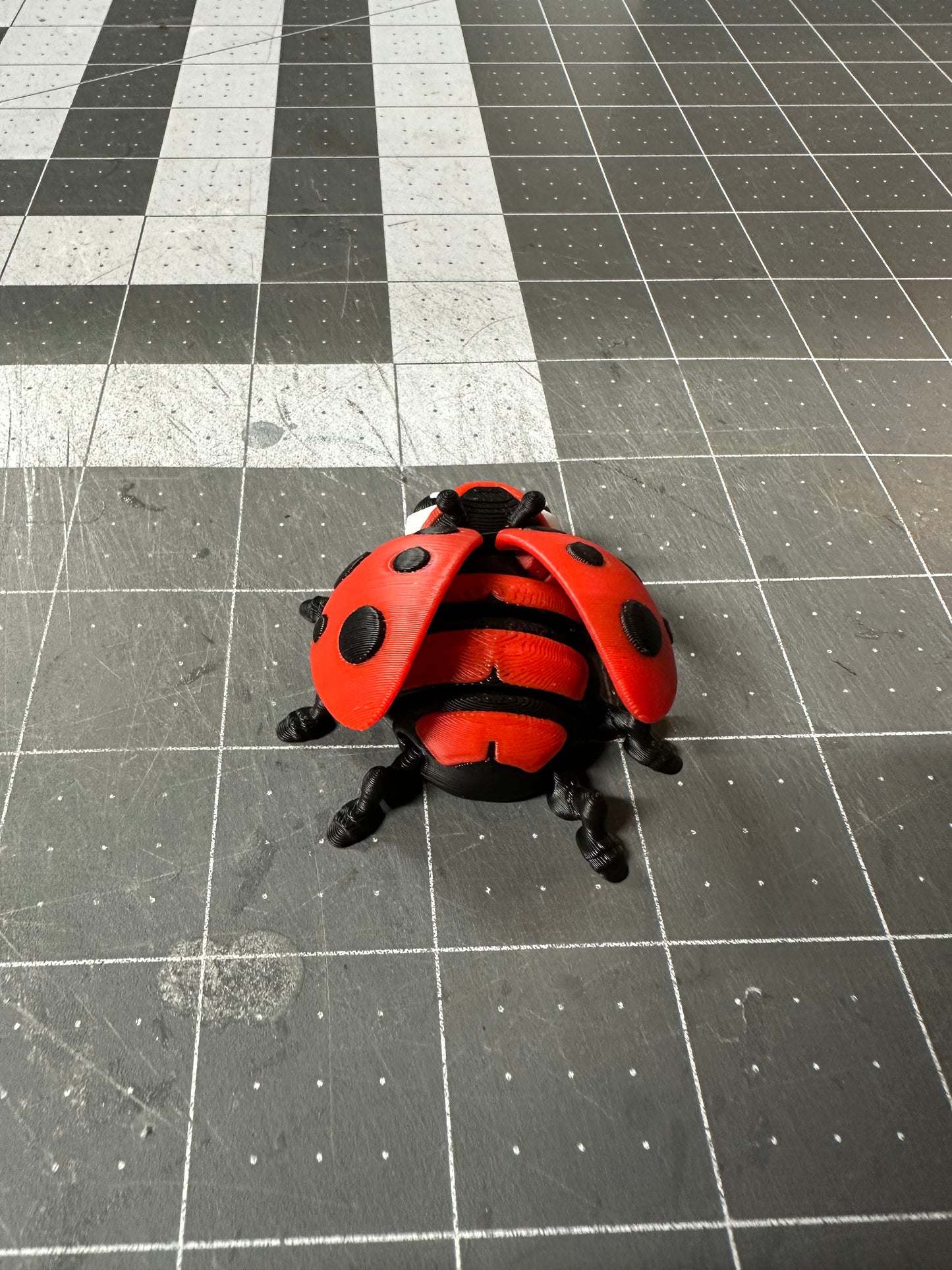 Lady Bug with Magnet