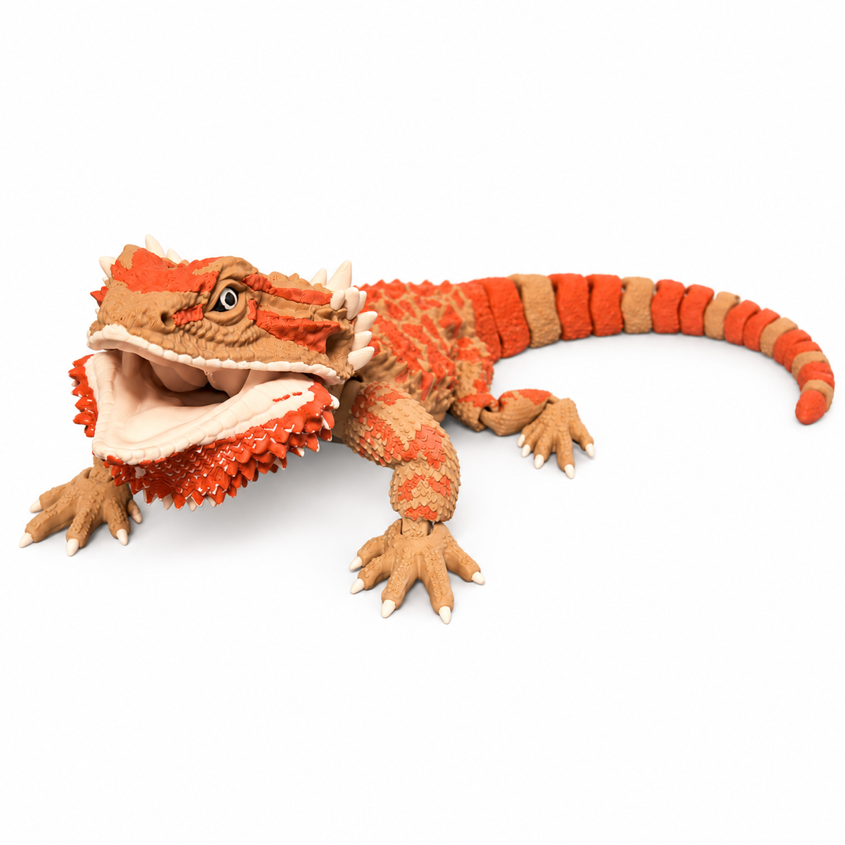 Orange and tan Mega articulated bearded dragon on white background