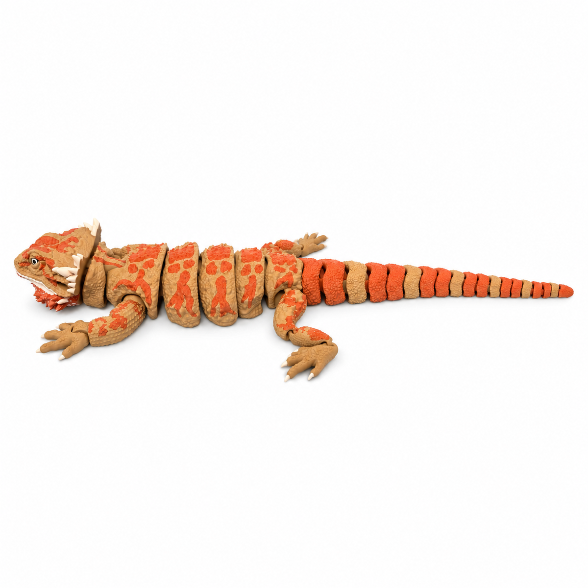 Orange and tan Mega articulated bearded dragon on white background