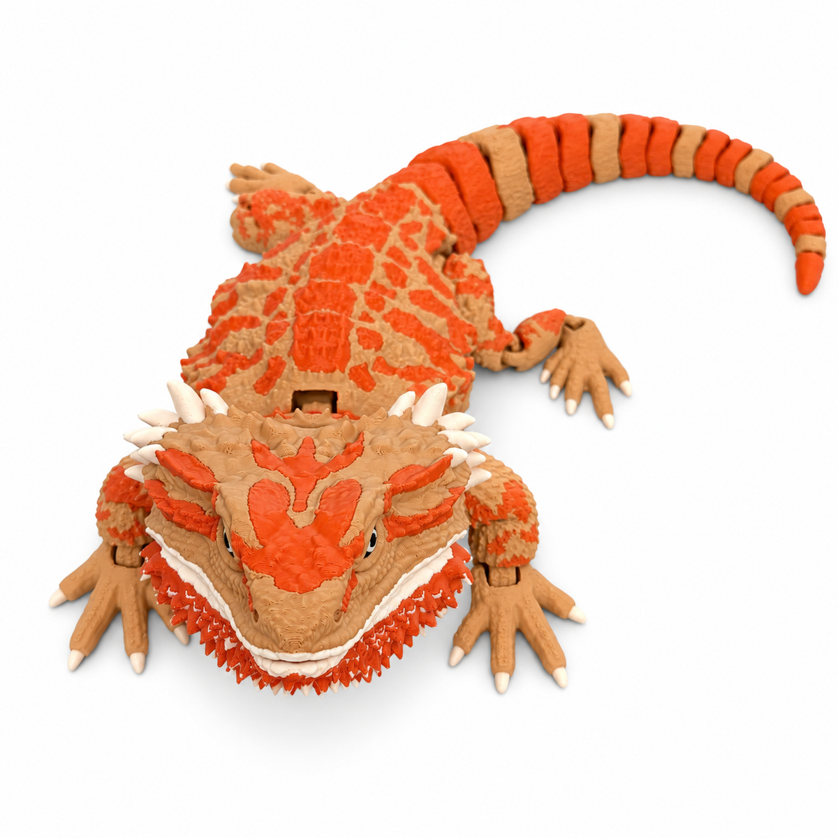Orange and tan Mega articulated bearded dragon on white background