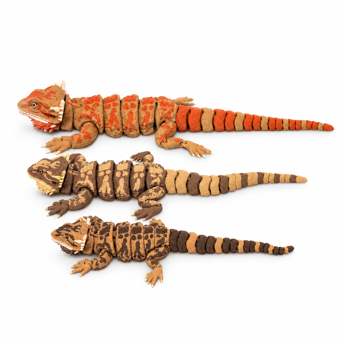 Size comparison: Mega bearded dragon at top with two smaller dragons, sold separately