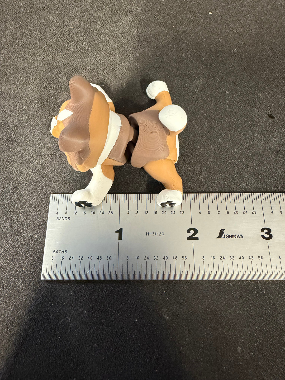 Sheltie fidget with legs spread beside an inch ruler for size reference.